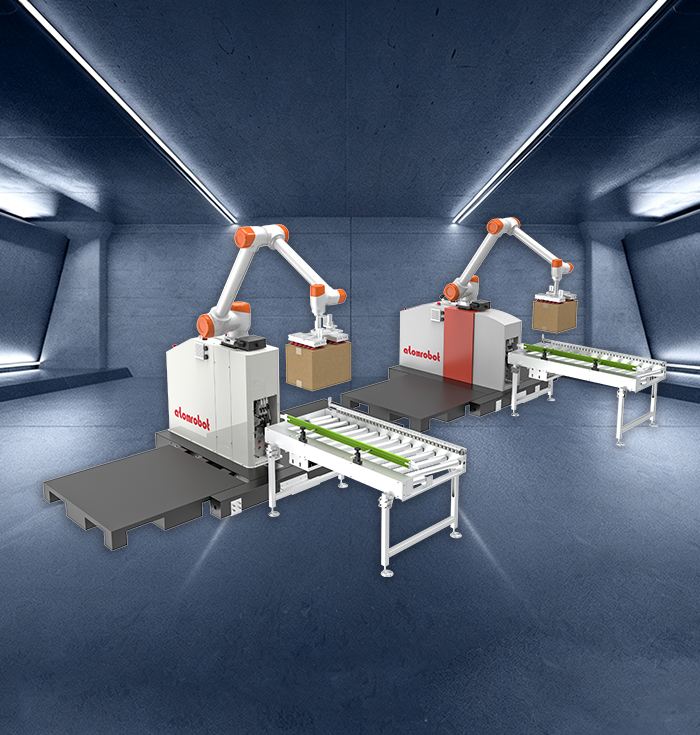 Delta Robot Feature